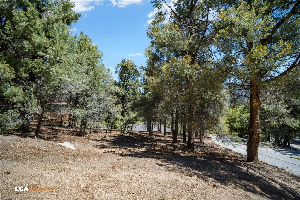 2212 Tirol, Pine Mountain Club, CA 93222 - Photo 4 of 6, Pine Mountain Club, CA