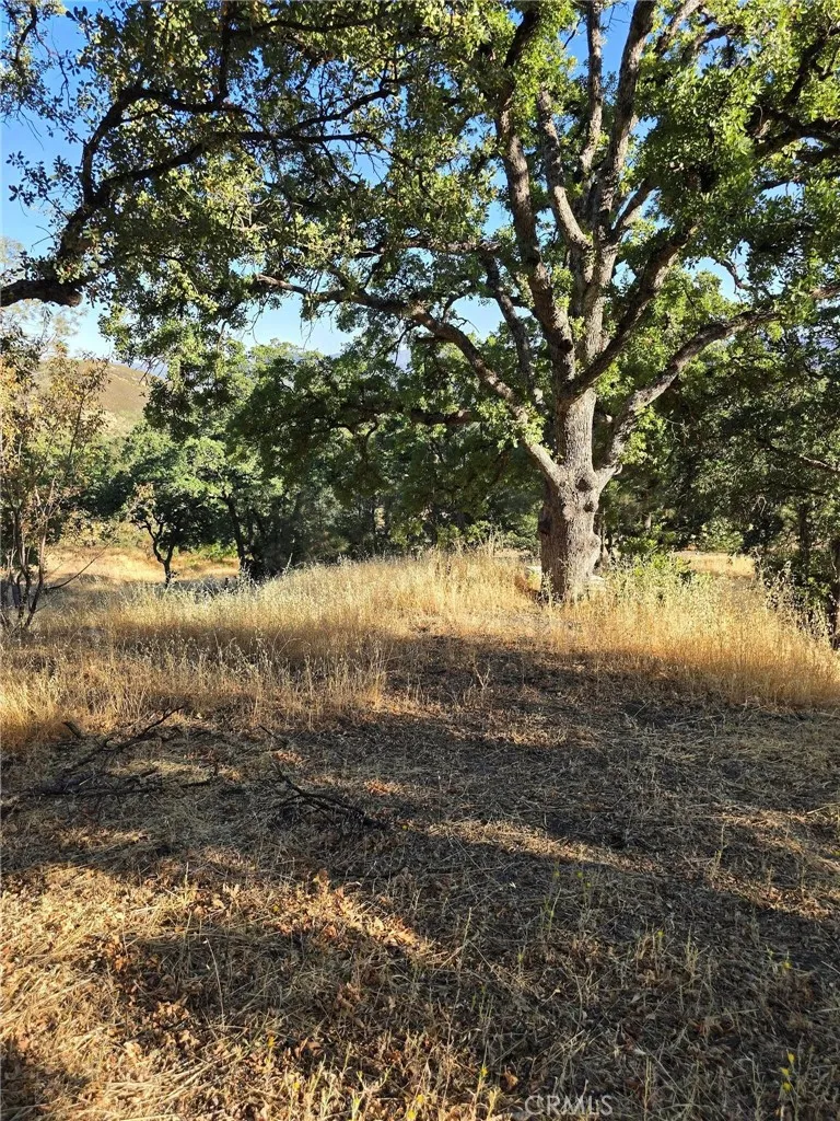 728 Watertrough Road, Clearlake Oaks, CA 95423 - Photo 3 of 17, Clearlake Oaks, CA