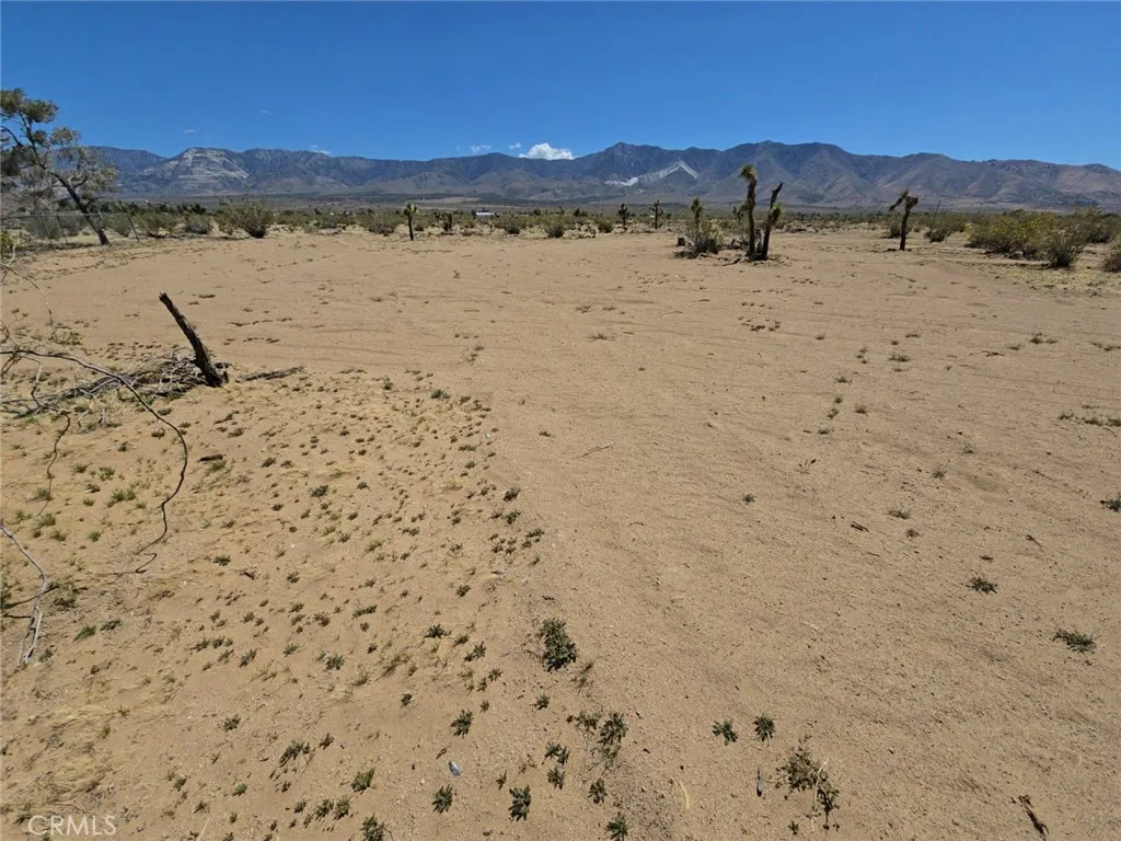 31357 Pawnee, Lucerne Valley, CA 92356 - Photo 4 of 13, Lucerne Valley, CA
