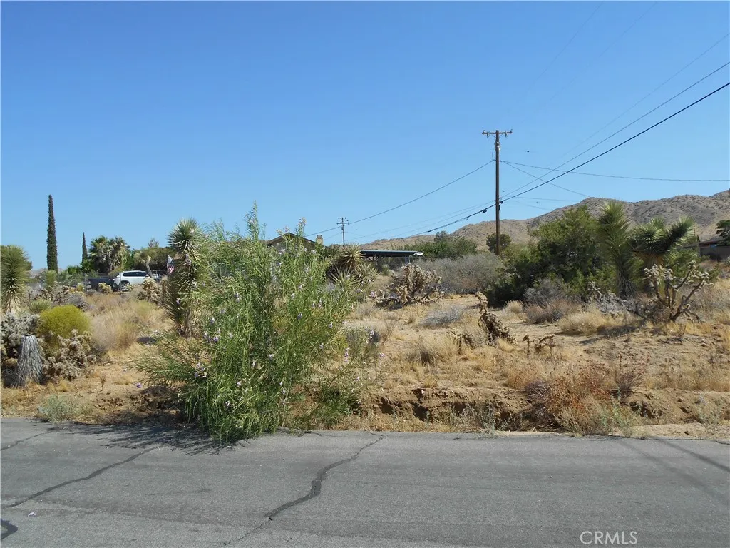 987 Juarez, Yucca Valley, CA 92284 - Photo 5 of 5, Yucca Valley, CA