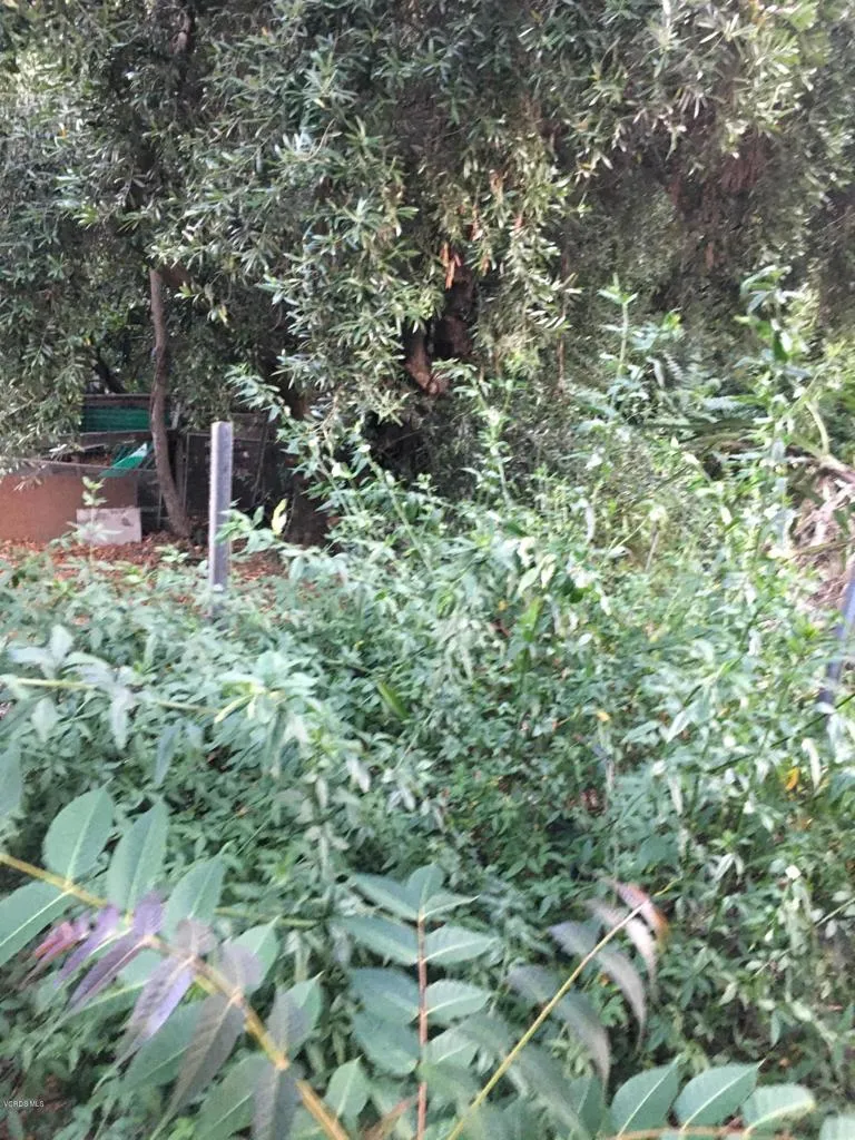 0 Edendale, Los Angeles, CA, 90039