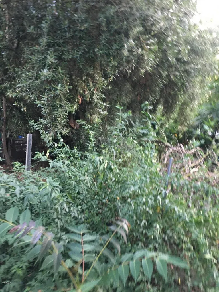 0 Edendale, Los Angeles, CA, 90039