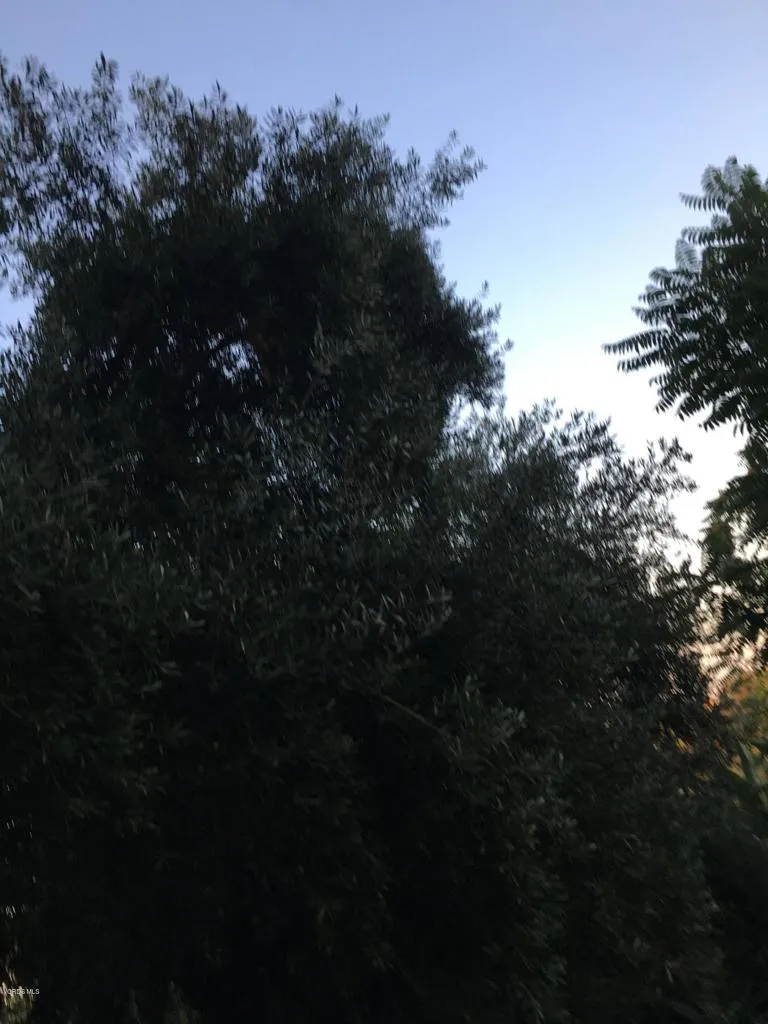 0 Edendale, Los Angeles, CA, 90039