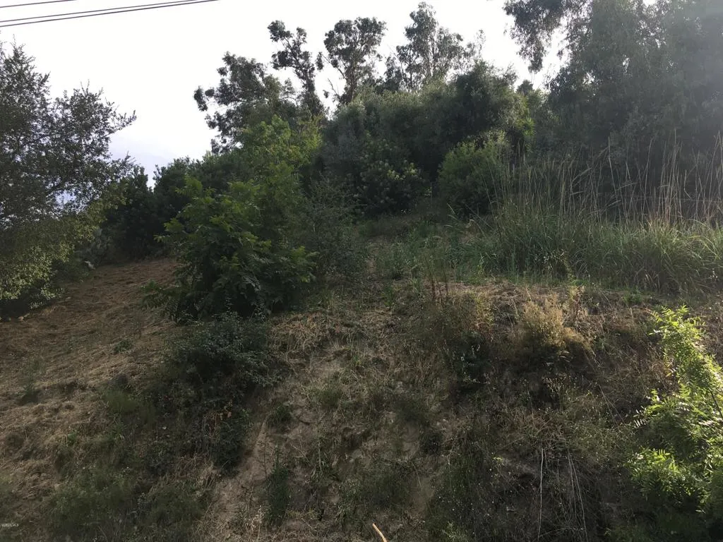 0 Edendale, Los Angeles, CA, 90039