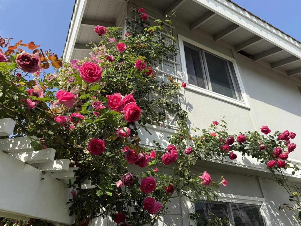 https://cdn.realtyfeed.com/cdn/127/306517626/281db30ffde832e88997b90b271de03e.webp