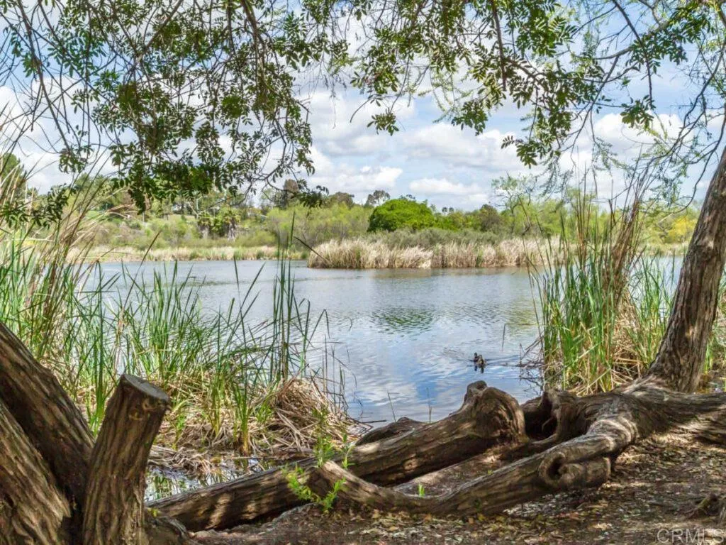 https://cdn.realtyfeed.com/cdn/127/306517923/183cedfca3947d56a74edf05dfe468d6.webp