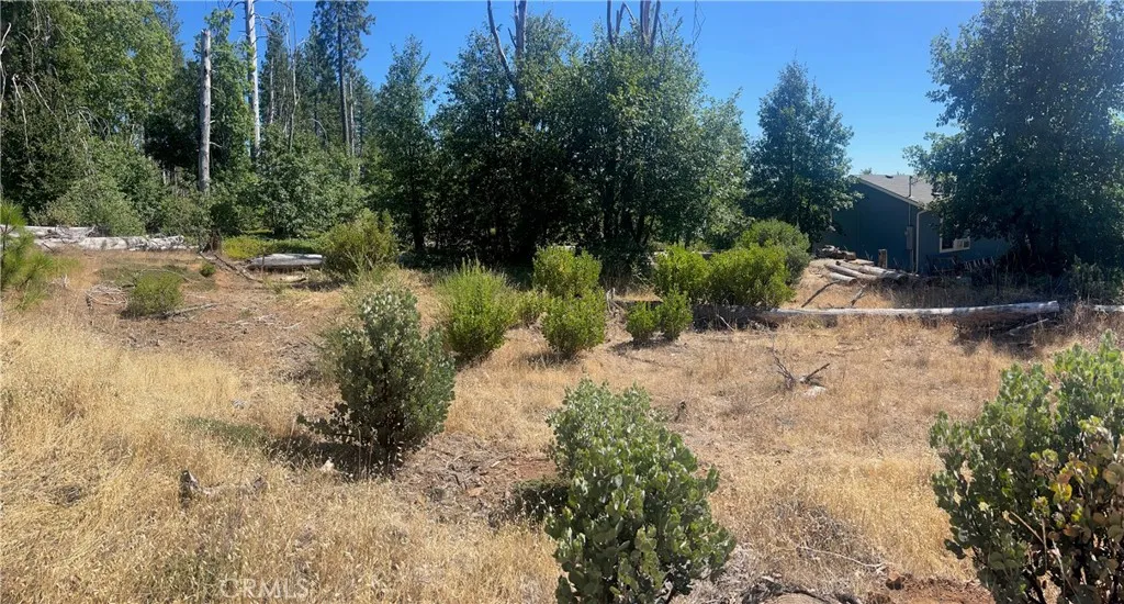 11495 Pine Summit, Cobb, CA 95426 - Photo 3 of 7, Cobb, CA