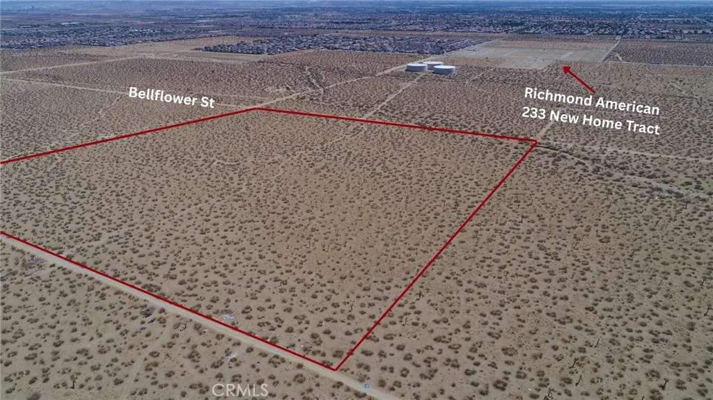 31332910 Bellflower