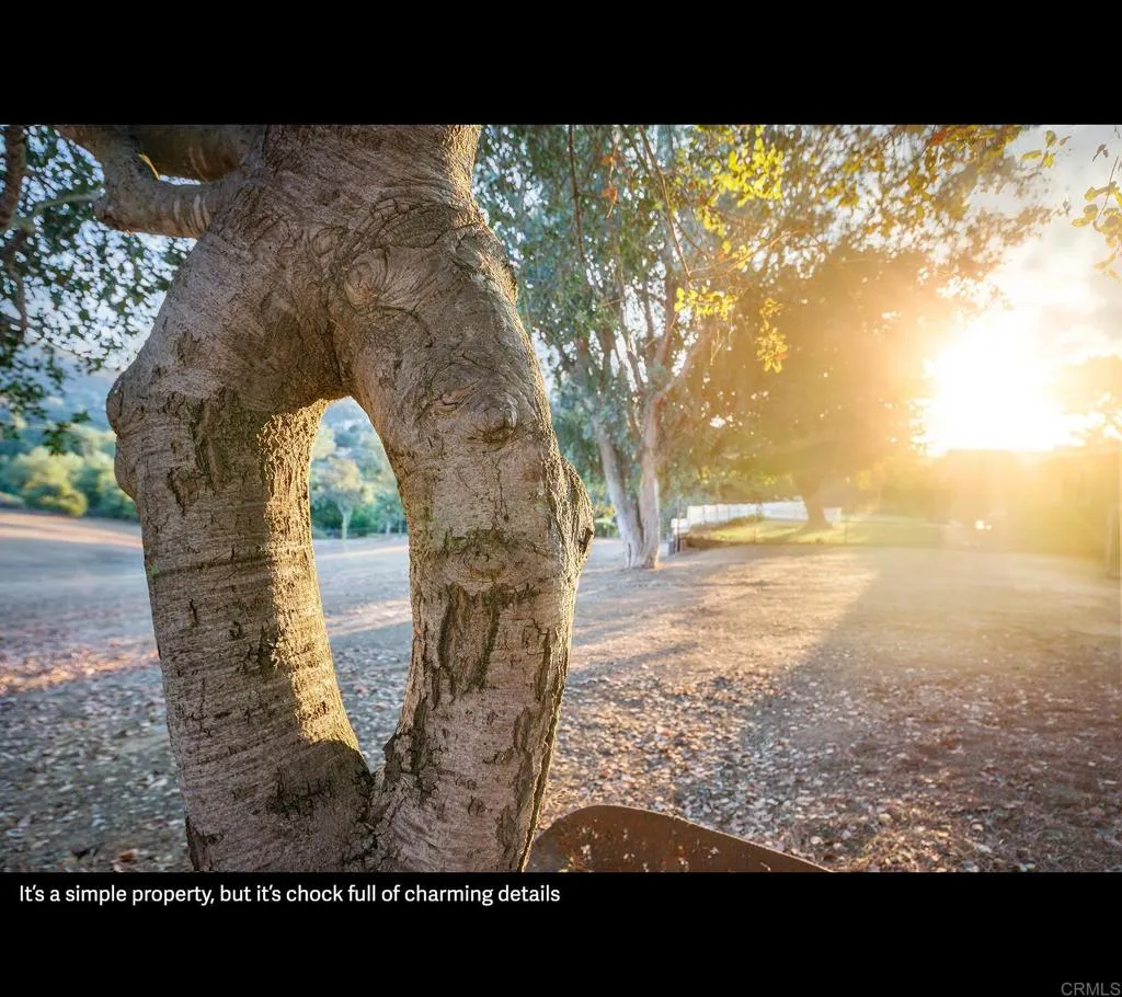 https://cdn.realtyfeed.com/cdn/127/306519019/83edfbaf07086e3be95e42af0e6462e0.webp