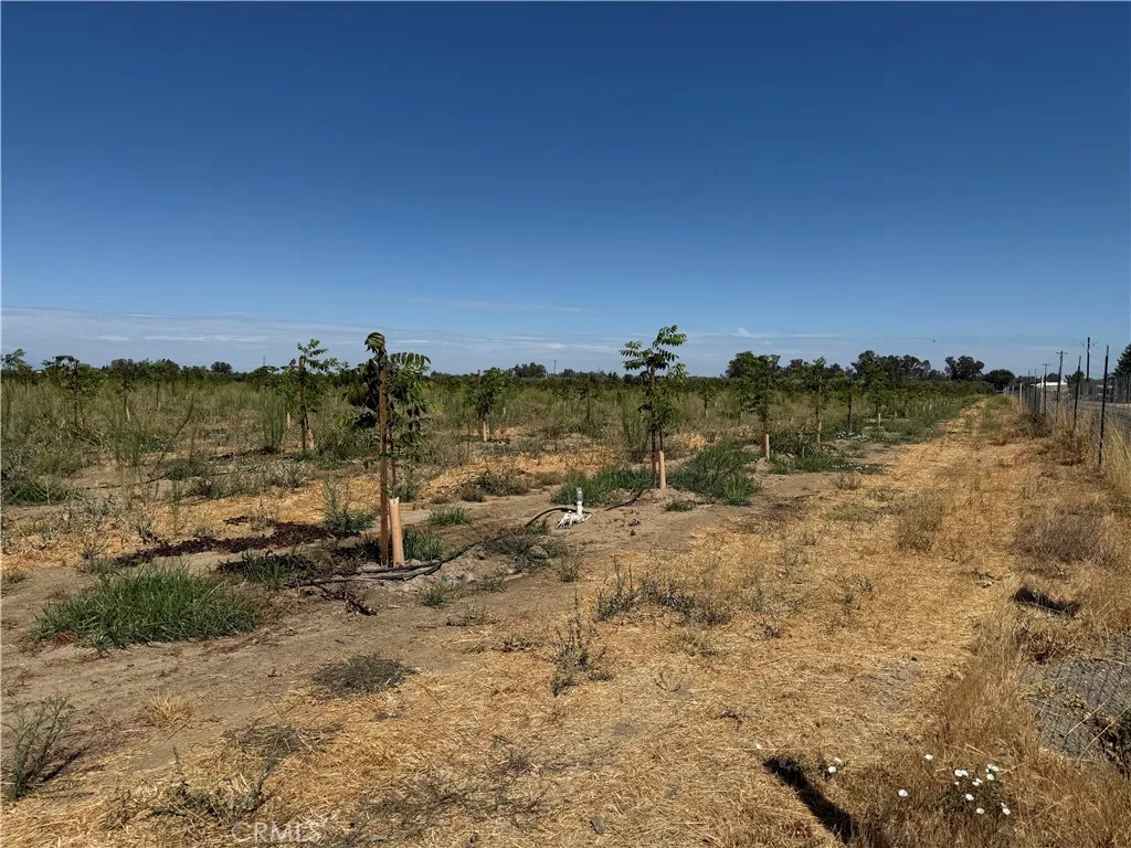 0 Mary Ave, Corning, CA 96021 - Photo 2 of 9, Corning, CA