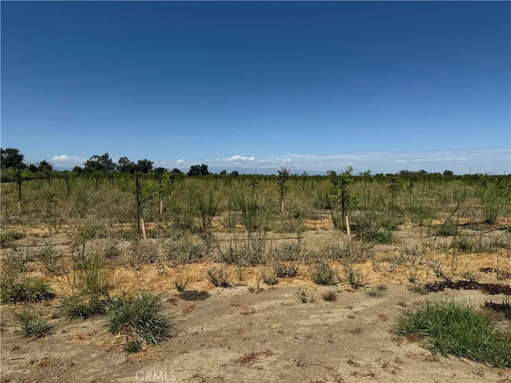 0 Mary Ave, Corning, CA 96021 - Photo 3 of 9, Corning, CA