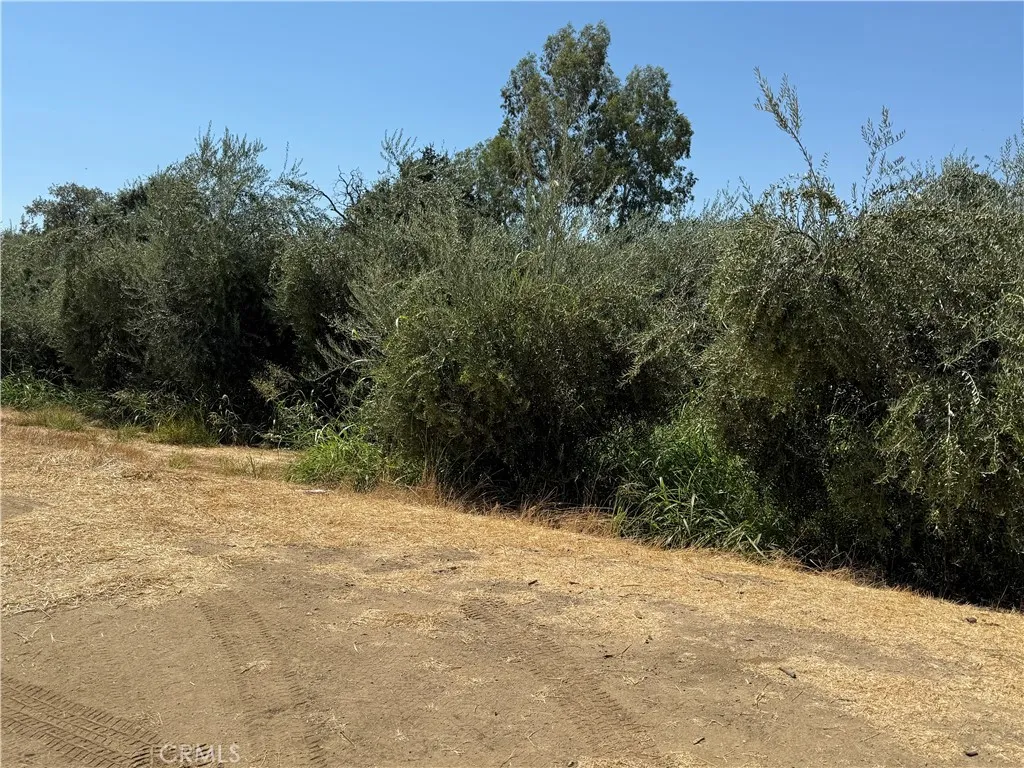 0 Mary Ave, Corning, CA 96021 - Photo 5 of 9, Corning, CA