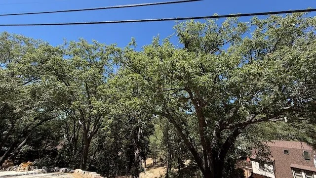 Green Valley Lake, CA 92341