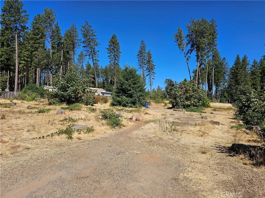 1533 Forest Service Rd, Paradise, CA 95969 - Photo 2 of 9, Paradise, CA