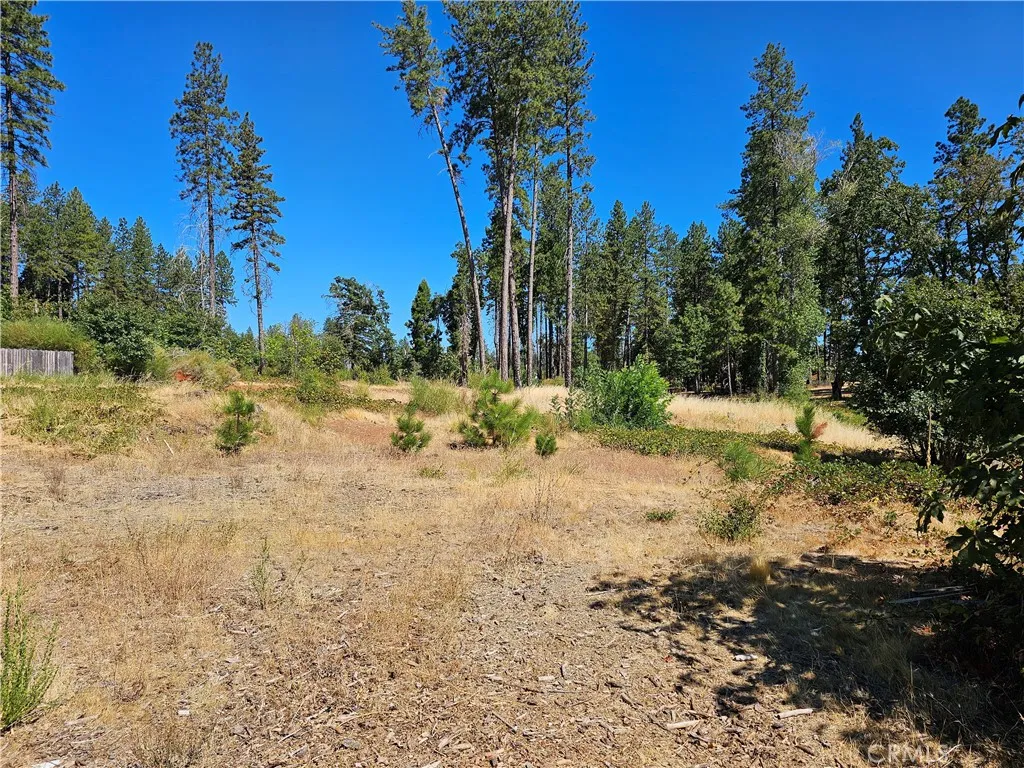 1533 Forest Service Rd, Paradise, CA 95969 - Photo 5 of 9, Paradise, CA