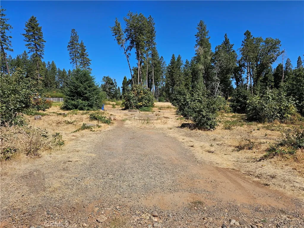 1533 Forest Service Rd, Paradise, CA 95969 - Main photo, Paradise, CA