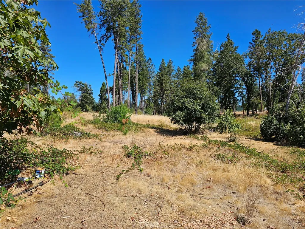 1533 Forest Service Rd, Paradise, CA 95969 - Photo 4 of 9, Paradise, CA