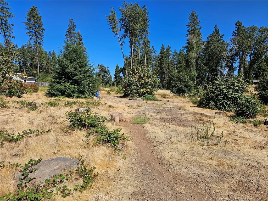 1533 Forest Service Rd, Paradise, CA 95969 - Photo 3 of 9, Paradise, CA
