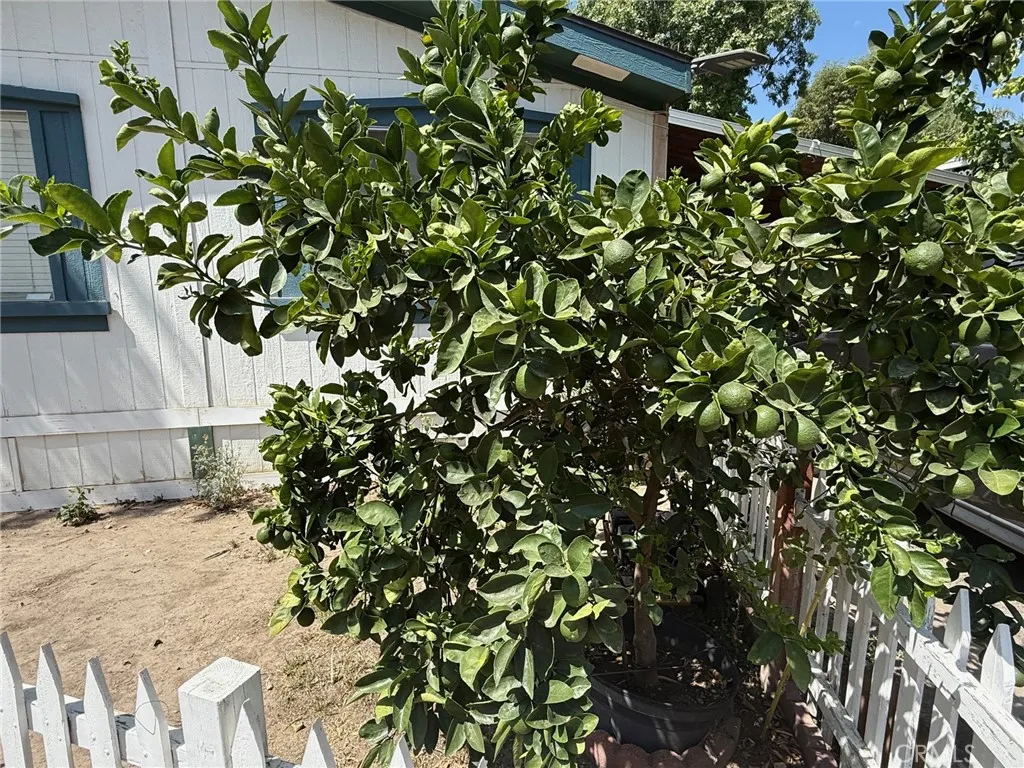 16274 Vasquez Canyon UNIT 29, Canyon Country, CA, 91351