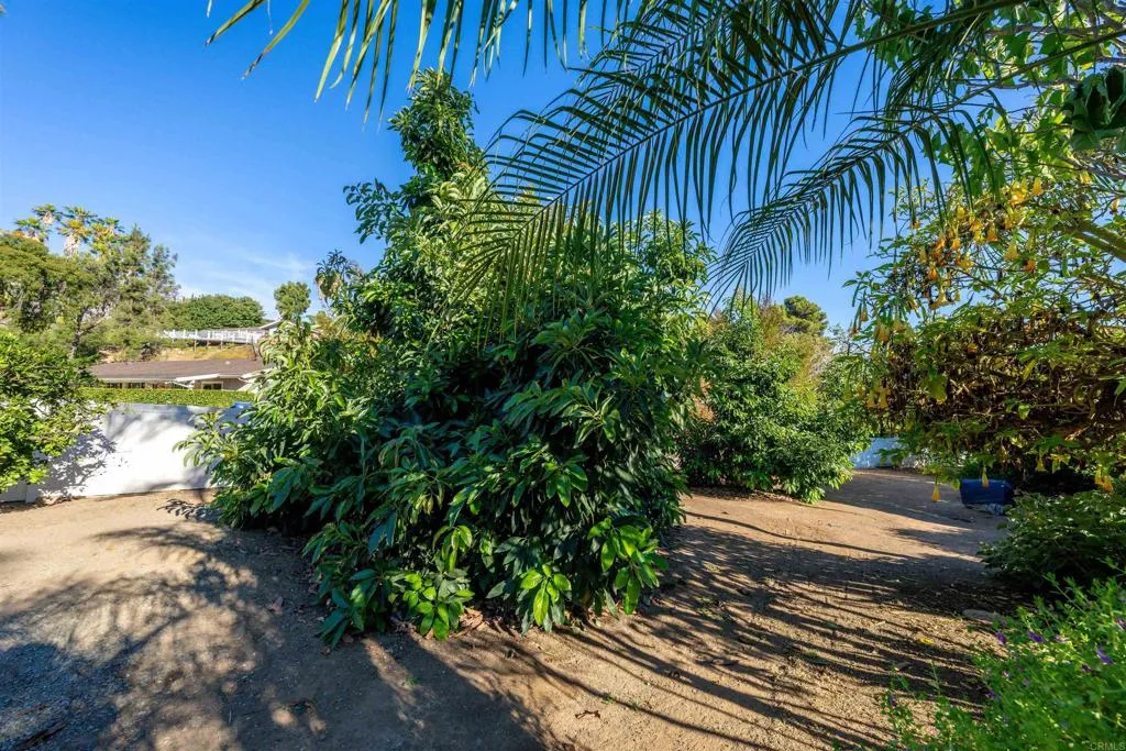 https://cdn.realtyfeed.com/cdn/127/306524278/d76956e38475a50883265750ca165eb0.webp