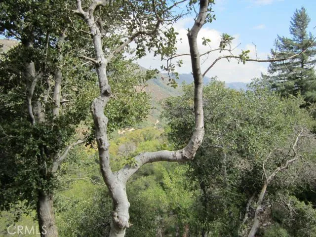 0 Burnt Mill Canyon, Cedarpines Park, CA 92322 - Photo 5 of 25, Cedarpines Park, CA