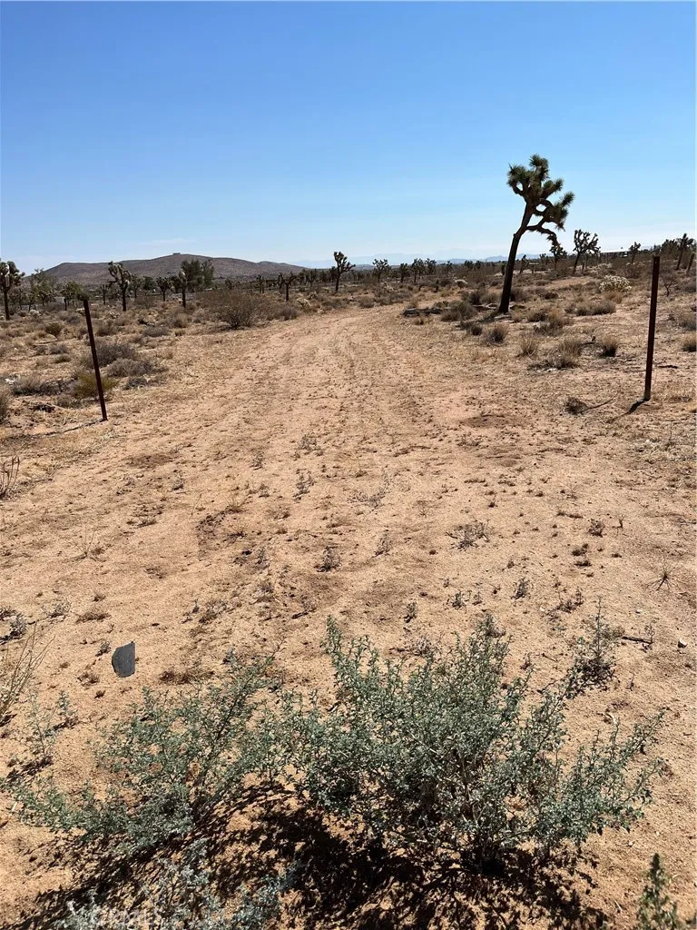 Yucca Valley, CA 92284