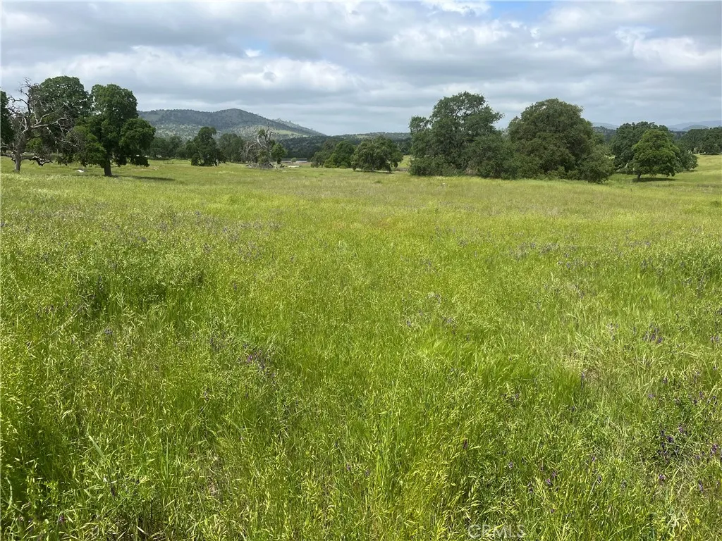 2463 Old, Catheys Valley, CA 95306 - Main photo, Catheys Valley, CA