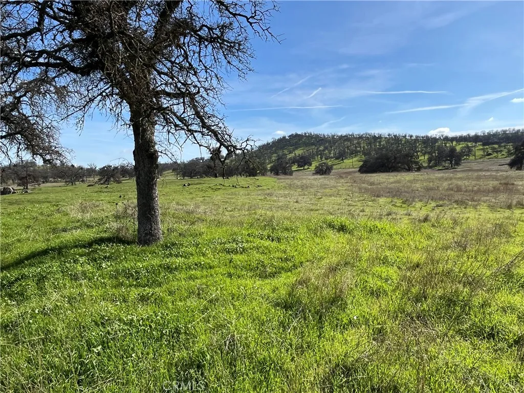 2463 Old, Catheys Valley, CA 95306 - Photo 3 of 17, Catheys Valley, CA