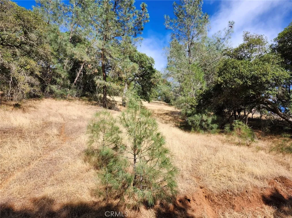 9500 Glenhaven, Glenhaven, CA 95443 - Photo 5 of 18, Glenhaven, CA