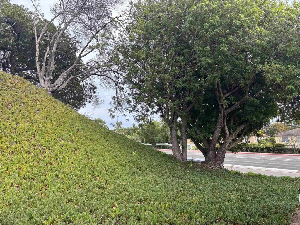 https://cdn.realtyfeed.com/cdn/127/306528612/f35c65f8c112a6e1b87d45f348b3bf55.webp