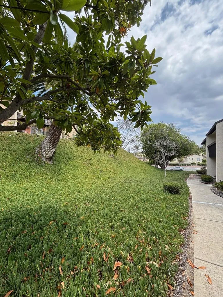 https://cdn.realtyfeed.com/cdn/127/306528612/f3e7c1df48c0c81c3c62212eae75aabe.webp
