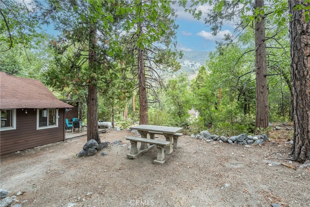 9165 Coffey Road, Forest Falls, CA 92339 - Photo 4 of 31, Forest Falls, CA