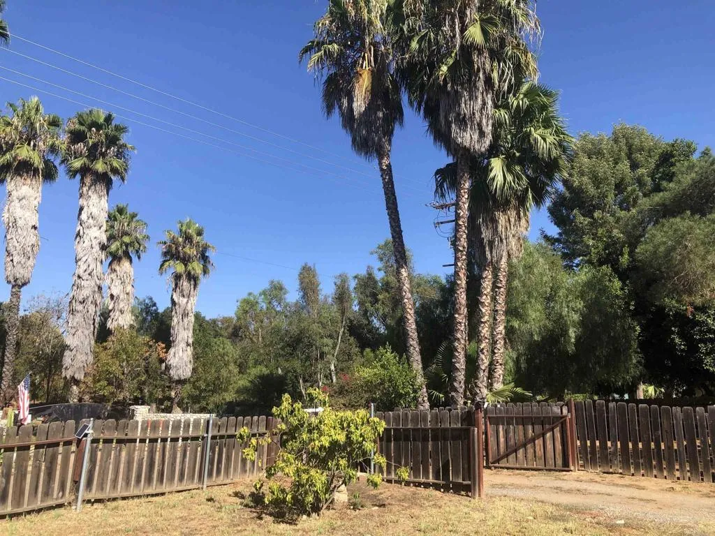 https://cdn.realtyfeed.com/cdn/127/306531359/3aed9599256806c8019bec93376a6833.webp