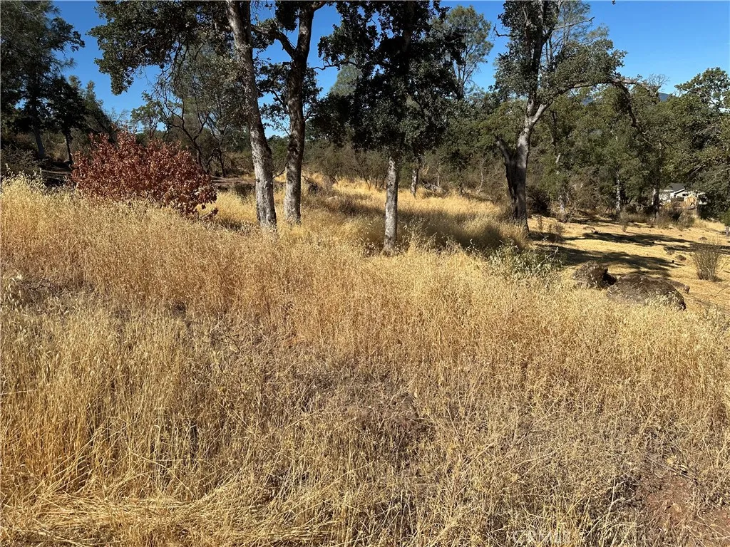 Clearlake, CA 95422