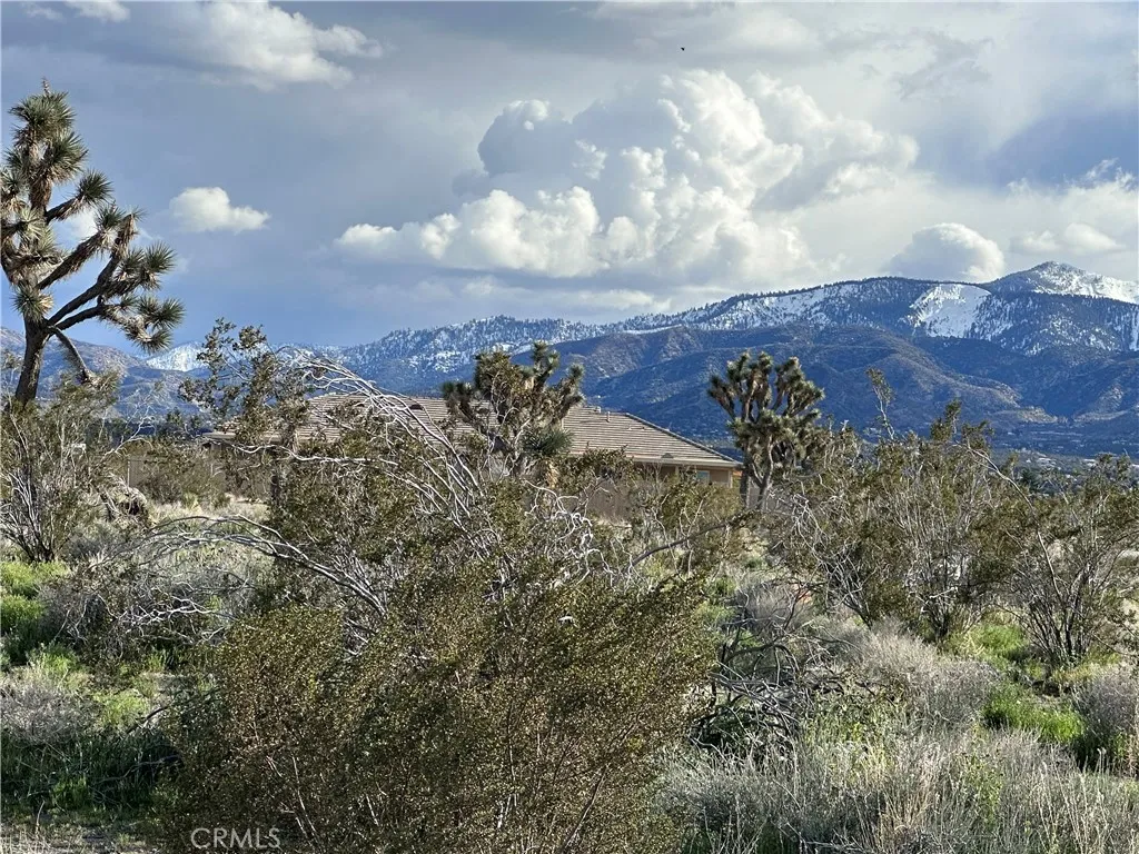 Pinon Hills, CA 92372