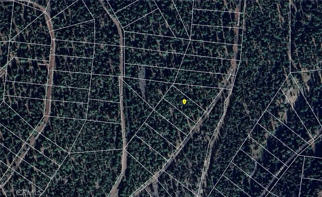 Alturas, CA 96101