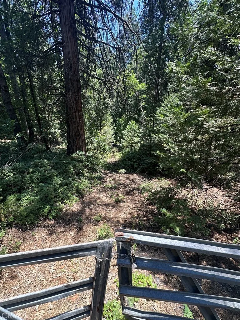 Pollock Pines, CA 95726