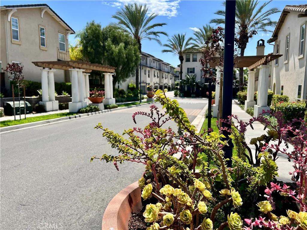Browse active condo listings in AGAVE