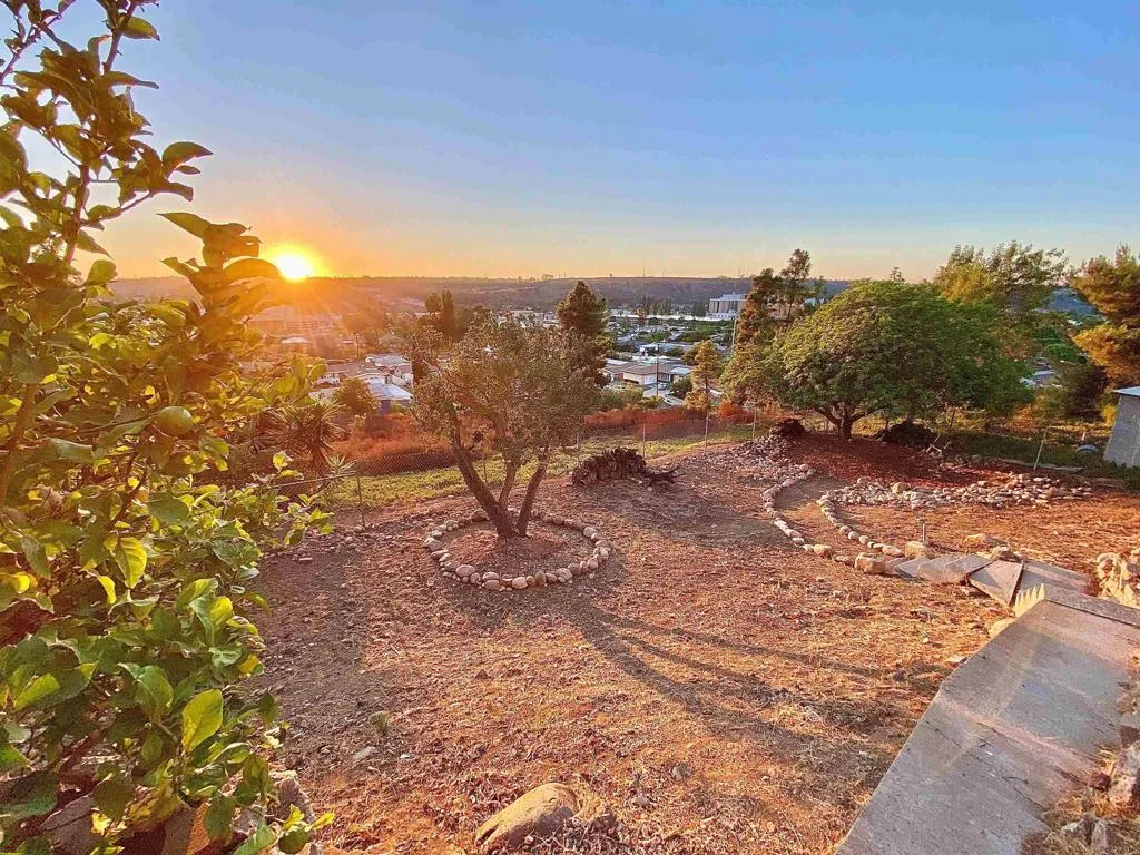 https://cdn.realtyfeed.com/cdn/127/306534124/8e1dfcb6b5464b40ab736c8678b375e0.webp