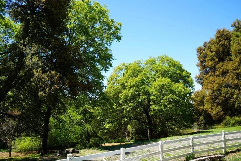 https://cdn.realtyfeed.com/cdn/127/306534451/b73bd3b1dc70c99e4815b03b841dddc7.webp