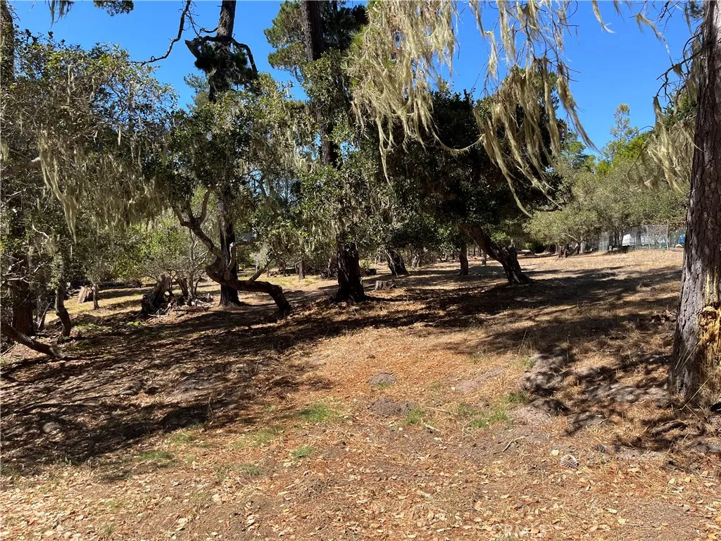 Cambria, CA 93428