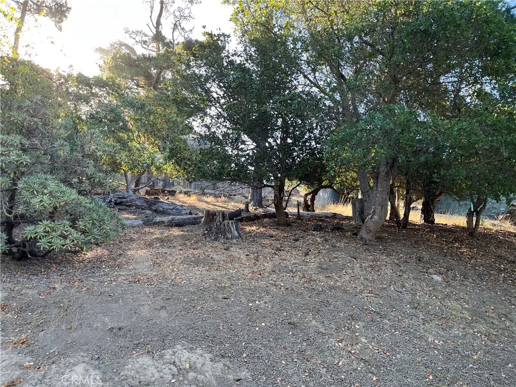 Cambria, CA 93428