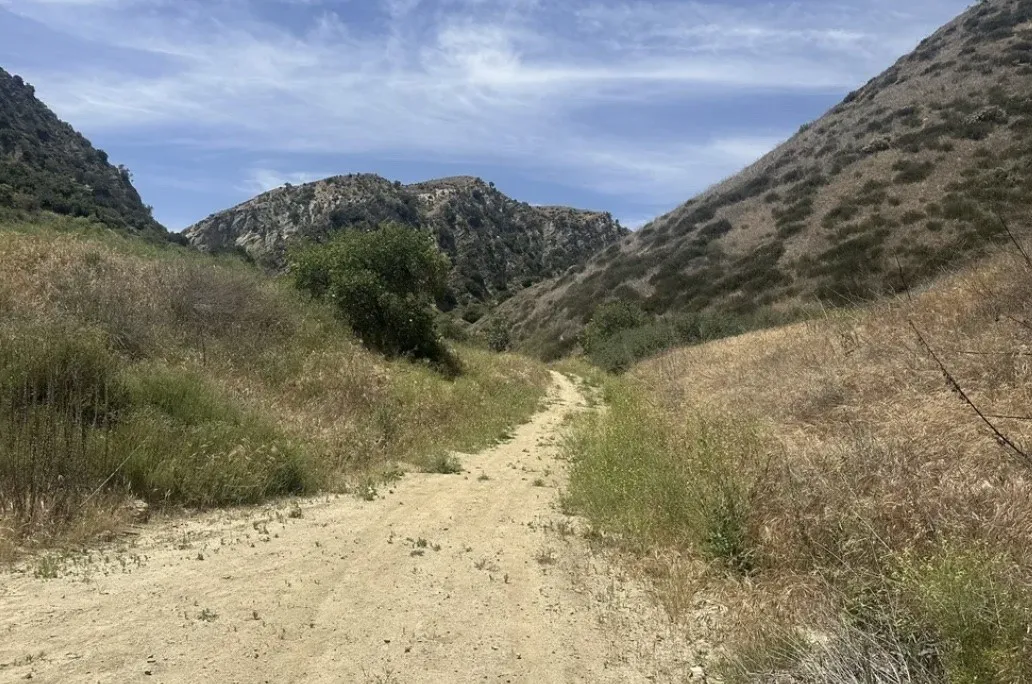 Castaic, CA 91384