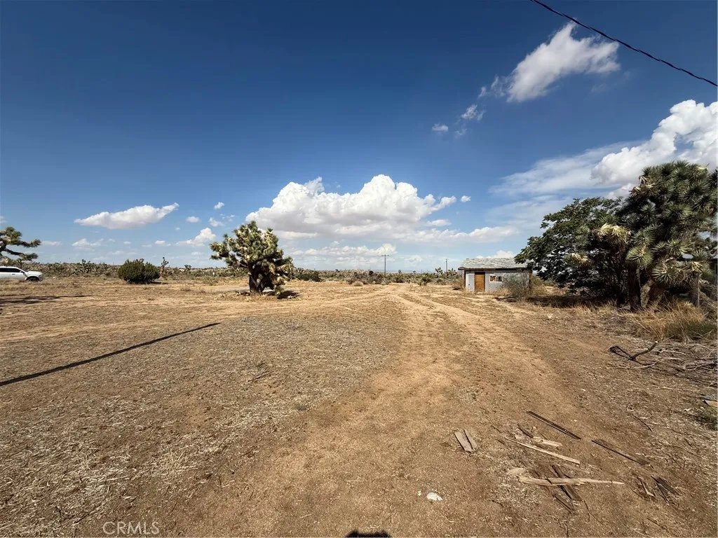 57215 Buena Vista, Yucca Valley, CA 92284 - Photo 3 of 6, Yucca Valley, CA