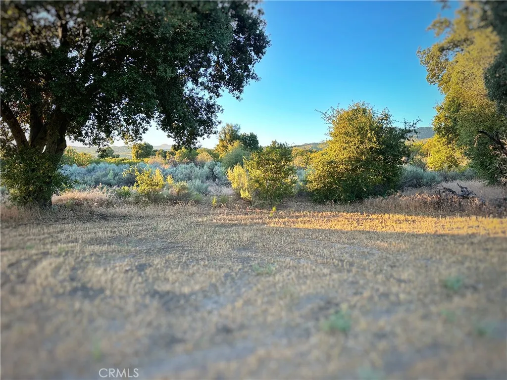 https://cdn.realtyfeed.com/cdn/127/306536256/6189f3cd47a42291916f39557f9dd1d3.webp