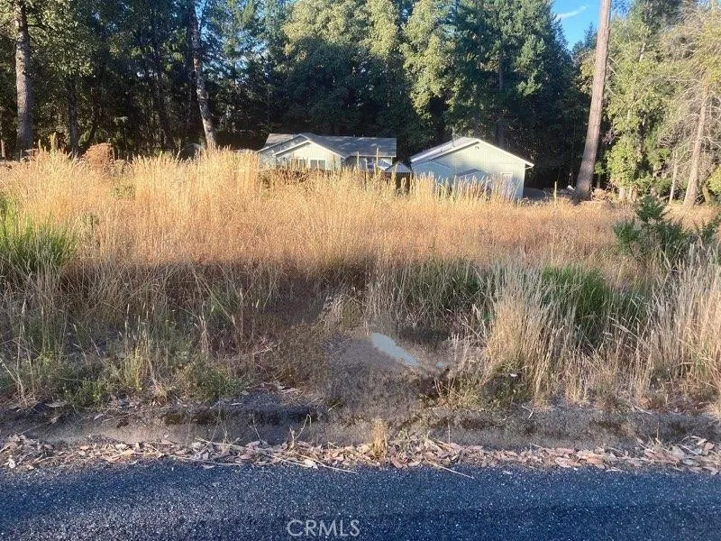 28281 Poppy, Willits, CA 95490 - Photo 3 of 3, Willits, CA