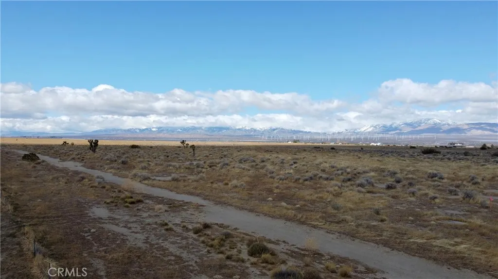 0 125th st W & Elder ave