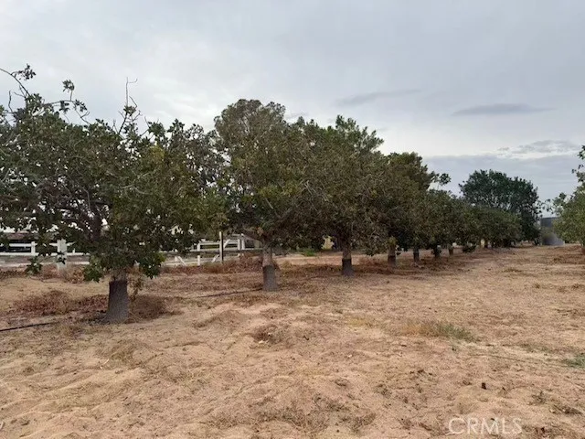 33979 Fremont Rd, Newberry Springs, CA 92365 - Photo 5 of 23, Newberry Springs, CA