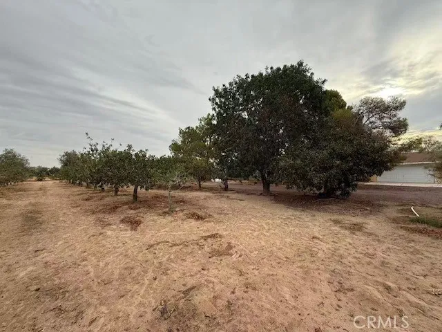 33979 Fremont Rd, Newberry Springs, CA 92365 - Photo 4 of 23, Newberry Springs, CA