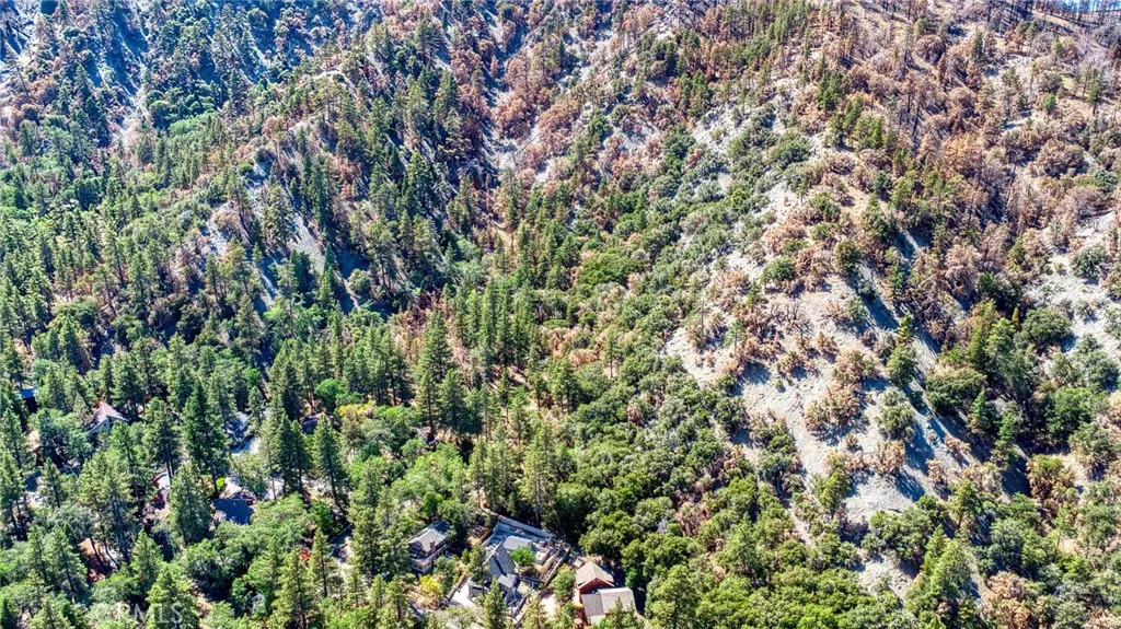 999 Acorn Dr, Wrightwood, CA, 92397